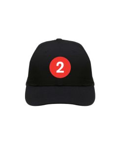 Adult 2 Train Baseball Hat