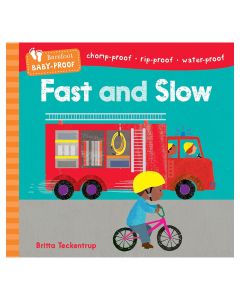 Fast and Slow Book