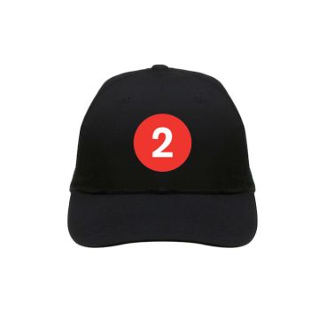 Adult 2 Train Baseball Hat