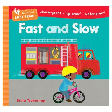 Fast and Slow Book